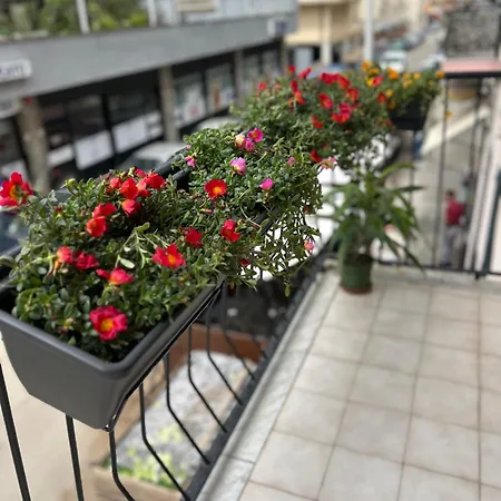 Noa