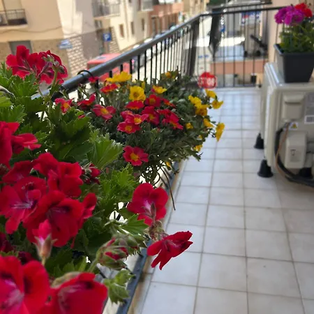 Guest house Noa *